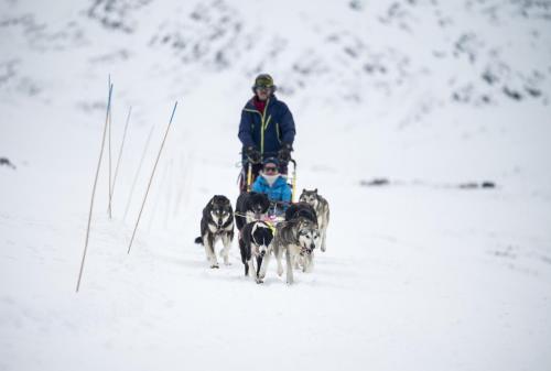 Huéspedes de Smuksjøseter Fjellstue