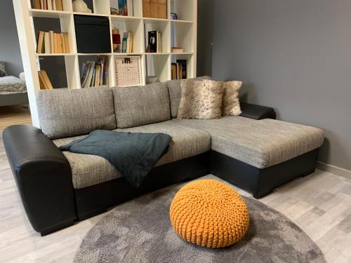 a living room with a couch and a book shelf at Neu Studio Leipzig Zentrum in Leipzig