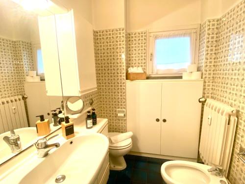 a bathroom with a sink and a toilet and a mirror at Mountain apartment with marvelous view near slopes in Barzio