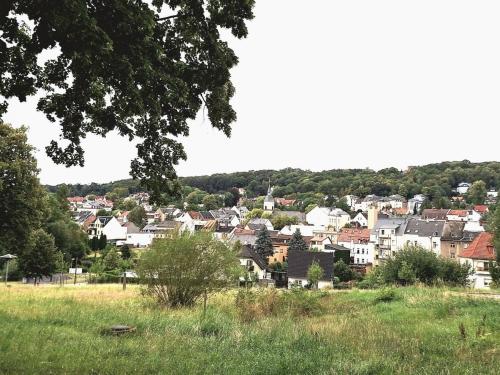 une vue sur une ville depuis un champ d'herbe dans l'établissement Bergblick-FeWo, à Hohenstein-Ernstthal