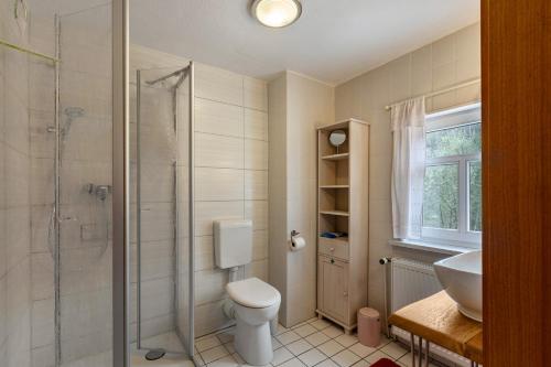 a bathroom with a shower and a toilet and a sink at Ferienhaus Bodebaude in Thale