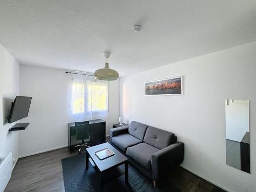 un salon avec un canapé et une table dans l'établissement Le Studieux - Confort & Calme, à Toulouse