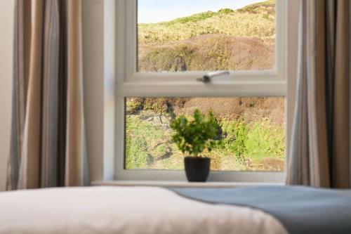 a window with a potted plant in a bedroom at Port William Inn in Tintagel