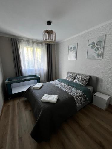 Ένα ή περισσότερα κρεβάτια σε δωμάτιο στο Appartement Honfleur- 2 pièces