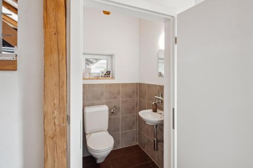 a bathroom with a toilet and a sink at FENUS Grabs Gemütliche Ferienwohnung SGT06 in Grabs