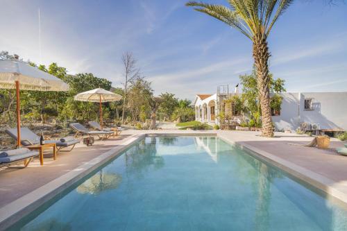 a swimming pool with chairs and a palm tree at MyThea Villa by "elite" in Lithakia