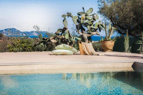 a potted plant sitting next to a swimming pool at MyThea Villa by "elite" in Lithakia