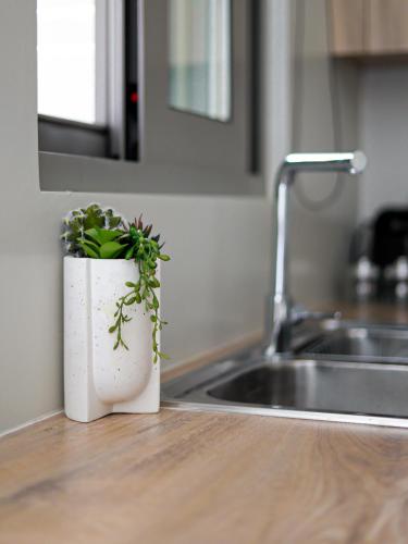 Cutie Studio Apartment in Koukaki