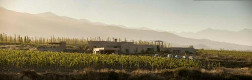 a group of cars driving down a road with mountains in the background at Bodega Alpasión Lodge y Glamping in Tunuyán