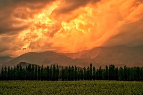 Bodega Alpasión Lodge y Glamping