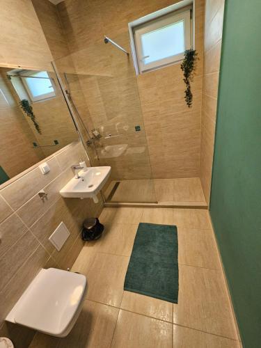 een badkamer met een wastafel, een toilet en een douche bij POT Apartments in Târgu-Mureş