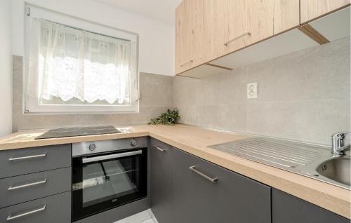 Η κουζίνα ή μικρή κουζίνα στο Amazing Home In Karin
