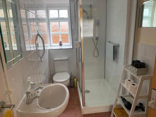 een badkamer met een wastafel, een toilet en een douche bij Beaumont's Cottage in Cambridge