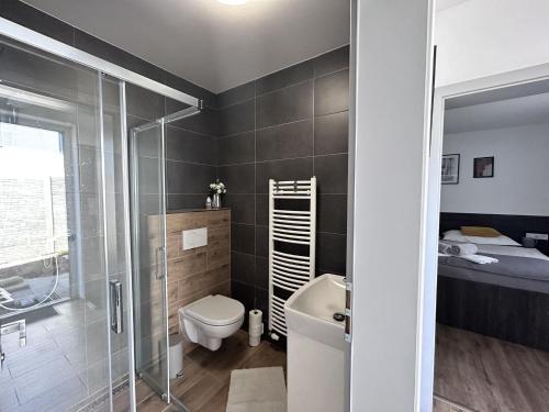 een badkamer met een douche, een toilet en een wastafel bij Apartmán U nás in Frymburk