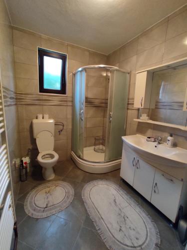 a bathroom with a shower and a toilet and a sink at REA Home Visoko in Visoko