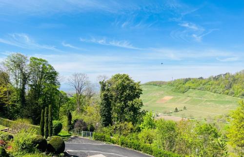 a road in the countryside with trees and a blue sky at Hotel Schlossberg in Badenweiler