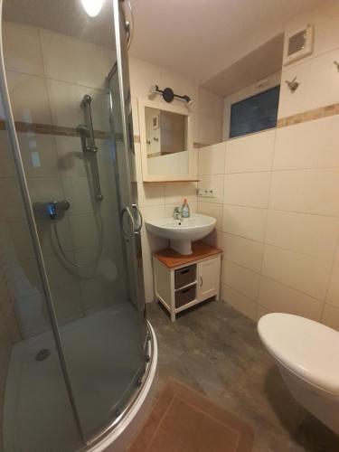 een badkamer met een douche en een wastafel bij Agroturystyka Gądno in Gadno