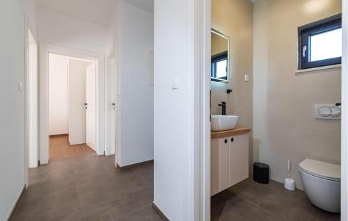 ein Badezimmer mit einem weißen WC und einem Waschbecken in der Unterkunft Awesome Home In Brisevo With Jacuzzi in Briševo
