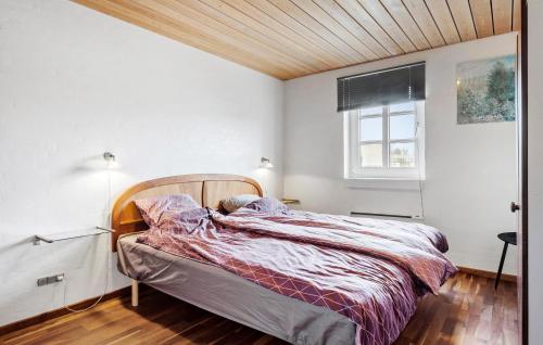Pet Friendly Home In Thyholm With Kitchen في Thyholm: غرفة نوم مع سرير مع اللوح الأمامي الخشبي ونافذة