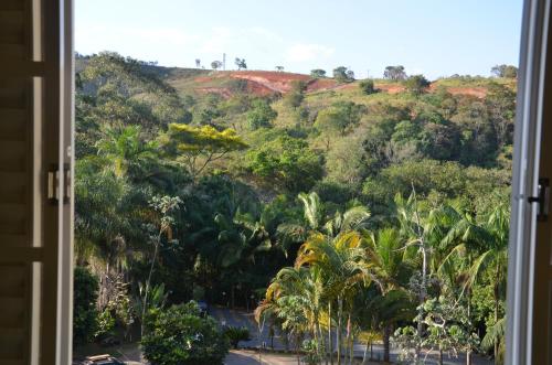 a window view of a hill with palm trees at Hotel Chapadao Da Canastra in São Roque de Minas