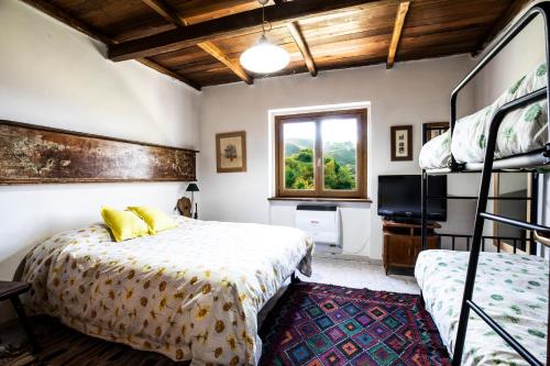a bedroom with two bunk beds and a television at Selvicolle Country House in Crispiero