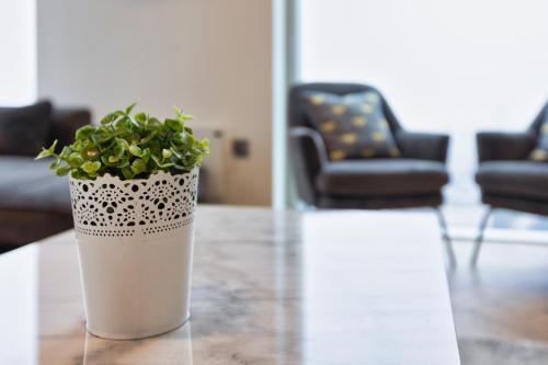 a potted plant sitting on top of a table at Greengate in Manchester