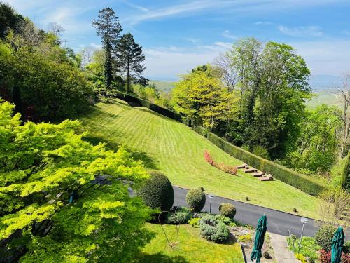 a view of a hill with a road and trees at Hotel Schlossberg in Badenweiler