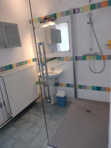 uma casa de banho com um chuveiro e um lavatório. em Au Randonneur - B&B em Thuin