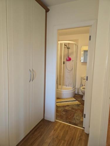 een badkamer met een douche en een toilet. bij Gracian OMB Dublin Apartment in Dublin