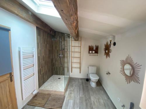 une salle de bain avec douche et toilettes dans l'établissement Luberon en Provence - La maison de Michèle au cœur de Goult, à Goult
