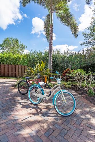 a blue bike parked next to a palm tree at Delray Oasis: Pool, Gazebo & Beach Access in Delray Beach