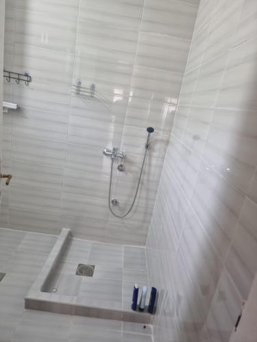 a bathroom with a shower with a shower at Miris prirode in Vrdnik
