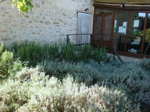 Κήπος έξω από το Casa Vacanze Il Piccolo Noce