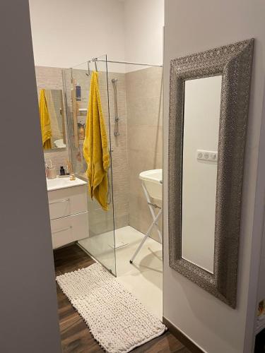 een badkamer met een douche, een wastafel en een spiegel bij Cosy Home in Ajaccio