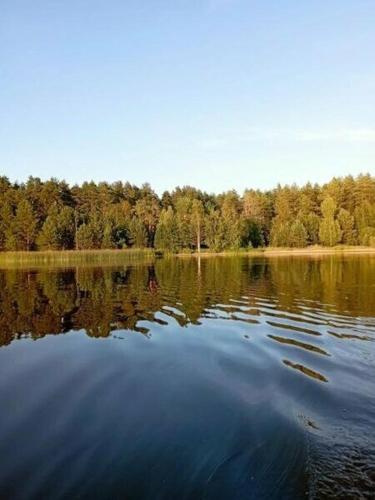 uma grande massa de água com árvores ao fundo em Номад em Karakol