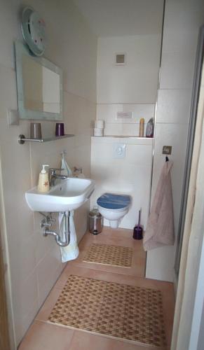 ein kleines Bad mit einem Waschbecken und einem WC in der Unterkunft Labahn in Lohme