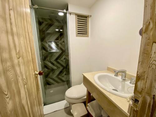 a bathroom with a shower and a toilet and a sink at Hotel Dorado Plaza Bocagrande - All Inclusive in Cartagena de Indias