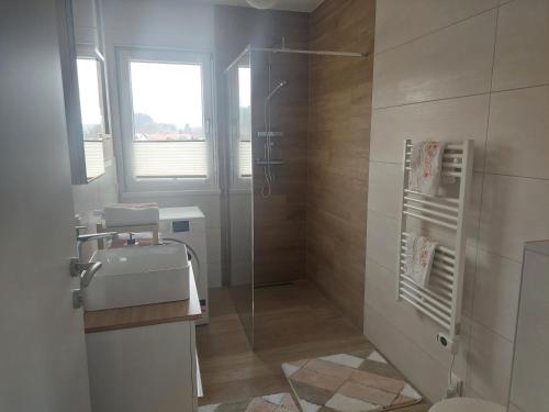 La salle de bains est pourvue d'une douche et d'un lavabo. dans l'établissement Apartment Panoramablick, à Klopein am Klopeiner See