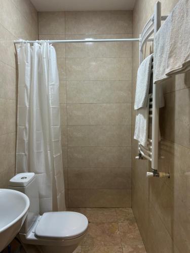 a bathroom with a shower and a toilet and a sink at Shushabandi Kazbegi in Kazbegi