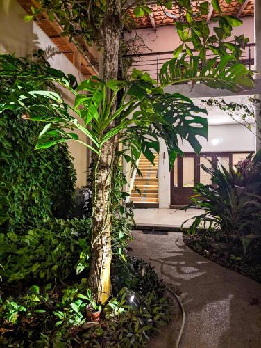 a small palm tree in a room with plants at Los Gallos - Suite superior in Lo de Marcos