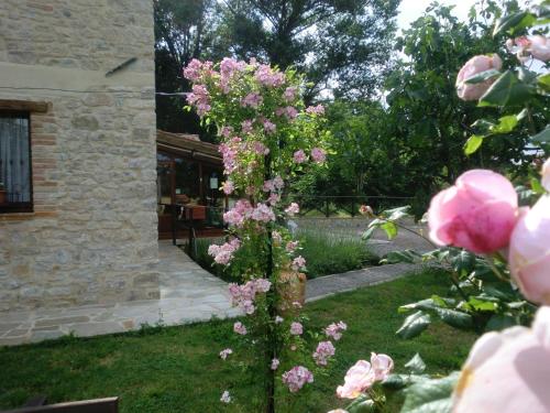 Κήπος έξω από το Casa Vacanze Il Piccolo Noce