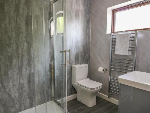 a bathroom with a shower and a toilet and a sink at Sea View in Carmarthen