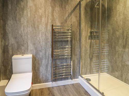 a bathroom with a toilet and a shower at The Oaks in Carmarthen