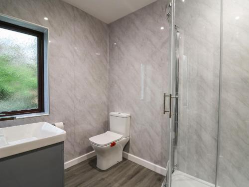 a bathroom with a toilet and a glass shower at The Oaks in Carmarthen