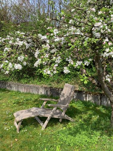 Jardín al aire libre en B&B Biel-Brügg