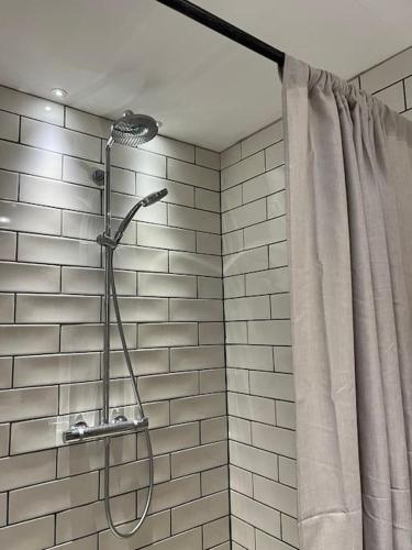 eine Dusche im Bad mit Duschvorhang in der Unterkunft Maisonnette des vignes in Albertville