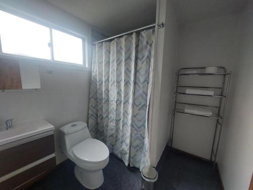 艾森港的住宿－Mi Cabaña，一间带卫生间和淋浴帘的浴室