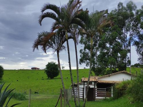 ein Haus auf einem Feld mit zwei Palmen in der Unterkunft Chalé na Montanha in Cunha