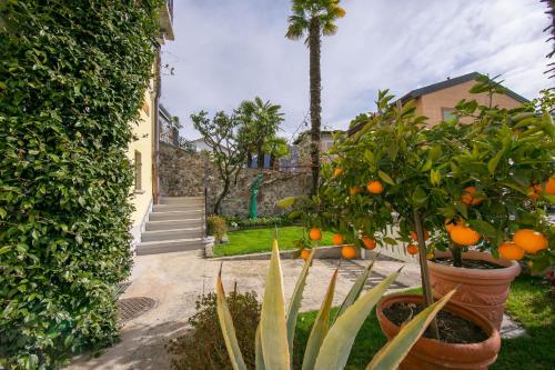 Un jardín fuera de Casa Tamè - Happy Rentals