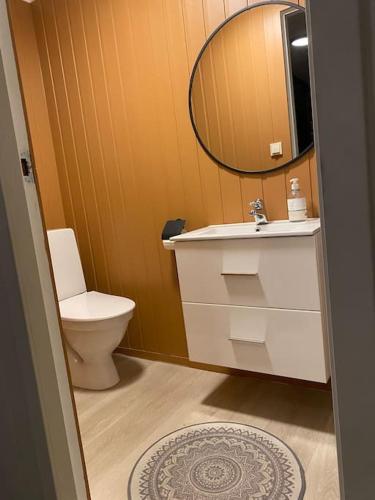 a bathroom with a sink and a toilet and a mirror at Aurora panorama 2nd floor in Laksvatn